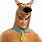 Scooby Doo Costume Meme