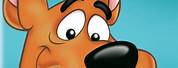 Scooby Doo and Friends DVD