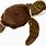 Sea Turtle Plush Toy