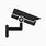 Security Camera Image Icon