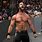 Seth Rollins Wrestler