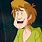 Shaggy On Scooby Doo