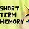Short-Term Memory Games