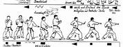 Shotokan Karate Kata Forms