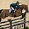 Show Jumping Horse Breeds