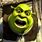 Shrek What Are Doing in My Swamp