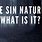 Sin Nature