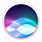 Siri Mac Icon
