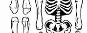 Skeleton Bone Stencil