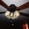 Skull Ceiling Fan