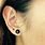 Small Gauge Earrings