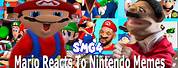 Smg4 Nintendo Memes