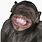 Smiling Monkey Face Meme