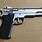 Smith Wesson 4506