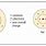 Sodium Ion Charge