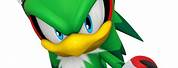 Sonic Bird Characters