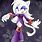 Sonic Fan Characters Cat
