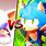 Sonic vs Rouge