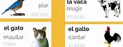 Sonidos De Animales En Espanol