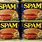 Spam Popular Canned Meat Brand