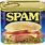Spam Products