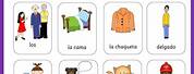 Spanish Vocabulary Flash Cards for Kids