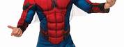 SpiderMan Costume Adult