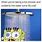Spongebob Shower Meme