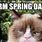 Spring Cat Meme