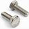 Stainless Steel Bolts