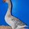 Steinbacher Goose