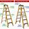 Step Ladder Diagram