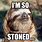 Stoned Sloth Meme