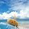 Summer Beaches Wallpaper iPhone