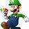 Super Mario Bros 2 Luigi