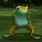 Tap Dancing Frog