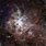 Tarantula Nebula Galaxy