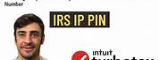 Tax IP Pin