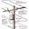 Telephone Pole Diagram