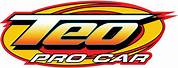 Teo Pro Logo.png
