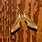 Texas Sphinx Moth