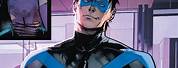 Titans DC Comics Nightwing