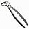 Tooth Extraction Forceps