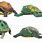 Toys for Turtles