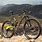 Trek MTN Bikes