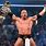 Triple H Champion
