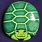 Turtle Pebble Art