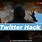 Twitter Hacker