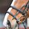 Types of Bridles