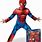 Ultimate Spider-Man Costume